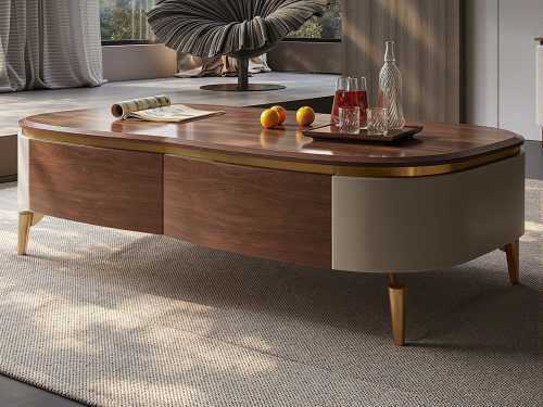 Costilla Modern Coffee Table With Drawer