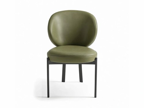 Detva Modern Leather Dining Chair-Beige/Olive Green